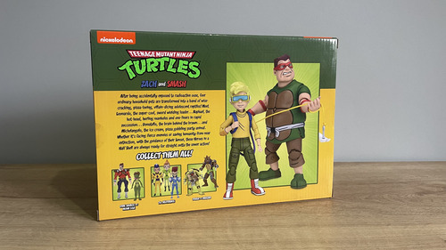 Tmnt Zach And Smash Neca Cartoon