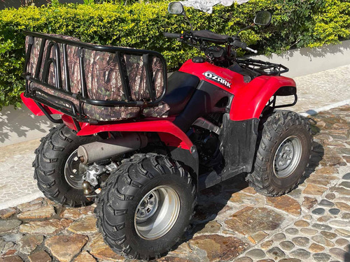 Imagen 5 de 15 de Cuatrimoto Suzuki Ozark Quadrunner 250 Modelo 2015 Impecable
