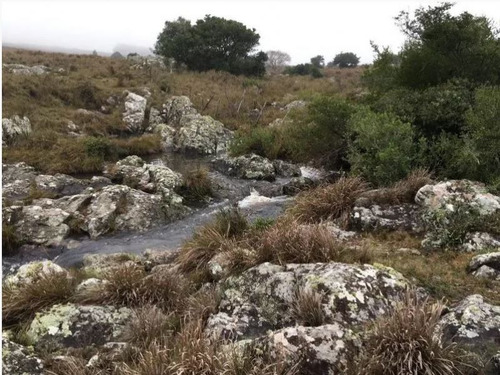 Campo En Venta