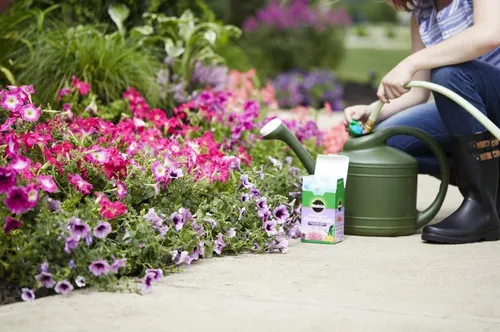 Miraclegrow Floracion 15-30-15 Bloom Fertilizante