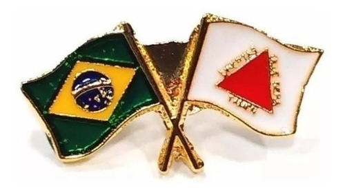 Pim Bótom Broche Bandeira Do Estado De Minas Gerais Folheado