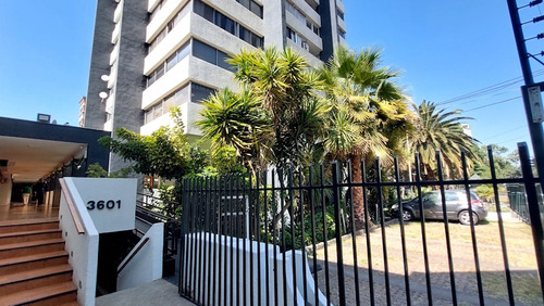 Local Comercial En Plaza Ñuñoa - 61 M2 -