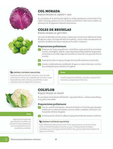 Tecnicas Y Procedimientos Culinarios Editorial Trillas