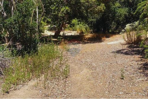 Parcela Con Acceso A Embalse Los Aromos, Limache