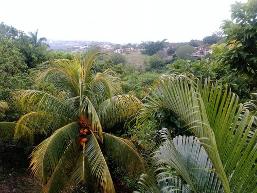 ¡vive Tranquilo! Remato Quinta En Cumbres Del Manzano, Excelente Clima, Terreno Regularizado En Alcaldía, Tanque De Agua, Todos Los Servicios En Barquisimeto (mact).