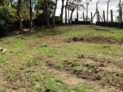 Imagem 19 de 24 de Casa À Venda, 2 Quartos, 8 Vagas, Batistini - São Bernardo Do Campo/sp - 47785