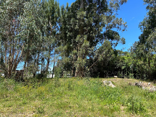 Excelente Terreno 1250mt Jardines De Córdoba
