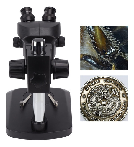 Kit De Microscopio Binocular Ligero, Estéreo Binocular 10x