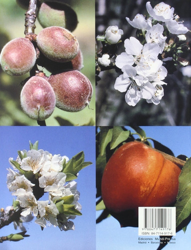 Plagas Y Enfermedades De Los Frutales De Hueso
