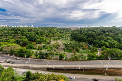 Imagem 11 de 15 de Apartamento Para Aluguel - Itaigara, 5 Quartos, 320 - 893472411