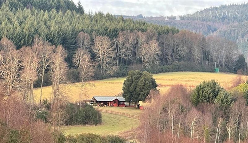 Parcela En Venta En Villa Alegre / Pedregoso Villarrica