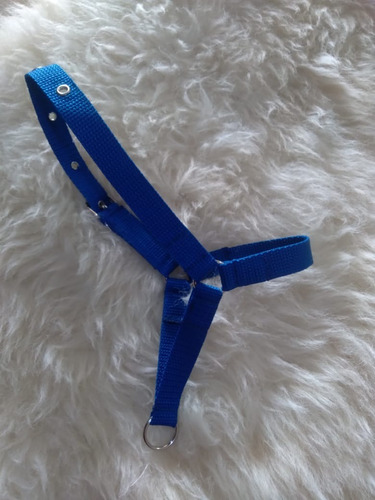 Cabresto De Mini Pônei