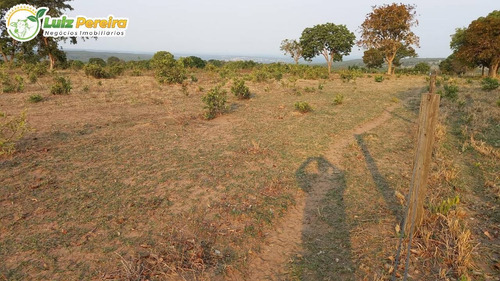 Imagem 9 de 14 de Fazenda Á Venda Em Rio Verde - Ms - 4.200 Hectares (dupla Aptidão) - 2167