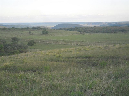Campo En Venta