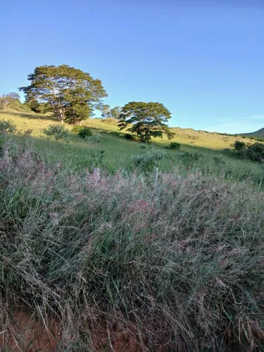 Propriedade Rural 22 Hectares