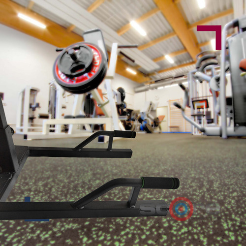 Sissy Squat Profesional Comercial Sentadilla Gimnasios