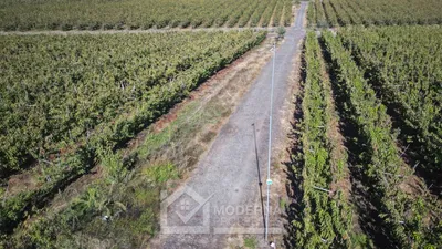 Agrícola en venta