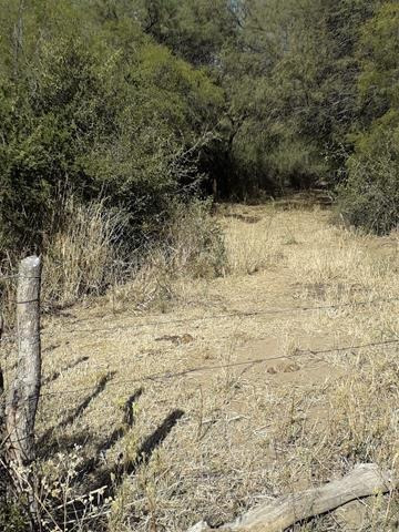 Imagen 6 de 9 de Venta De 4 Has En Villa Dolores, Traslasierras