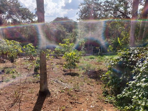 Imagem 14 de 18 de Oportunidade Chacara Ibiuna 1.000 Mts Casa Boa Localização!