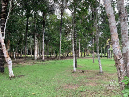 Imagem 11 de 30 de Fazenda Com 4 Dormitórios À Venda, 2460000 M² Por R$ 3.200.000,00 - Itacoatiara - Itacoatiara/am - Fa0001