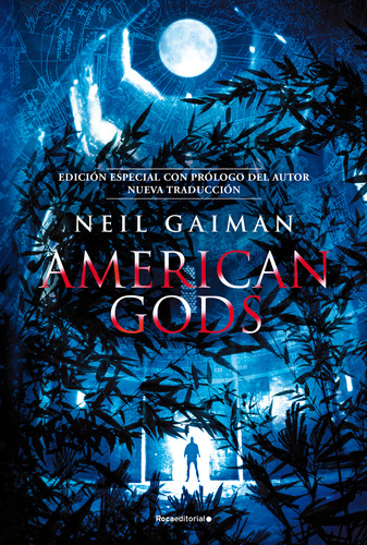 Libro American Gods - Neil Gaiman - Roca