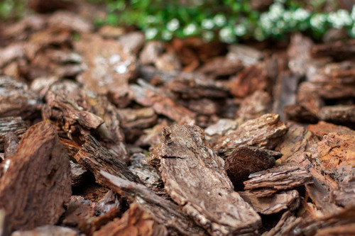 Corteza Chip - Mulching Decorativo Y Protección 5dm3