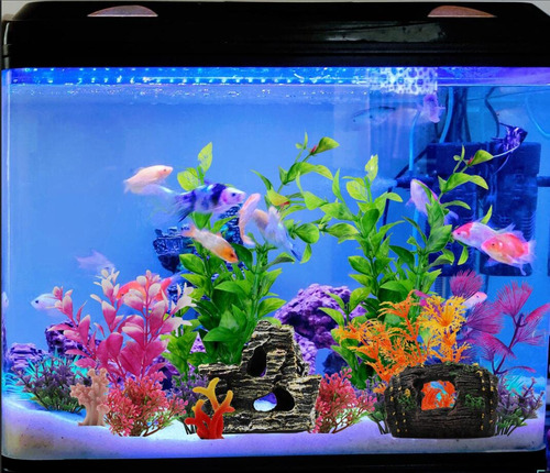 Pietypet - Decoracin De Peceras Con Barril Roto De Resina Y