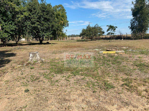 Imagem 7 de 25 de Chácara À Venda, 12.100 M² Por R$ 700.000 - Rio Bonito - Botucatu/sp - Ch0036