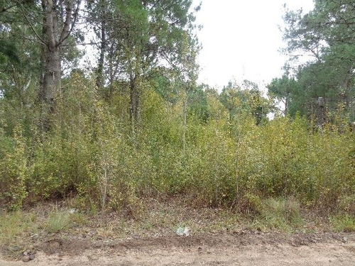 Imagen 3 de 4 de Lote En Las Gaviotas