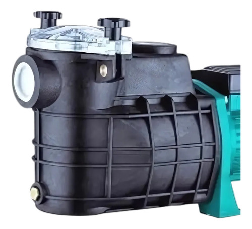 Bomba Para Pileta Fema Con Filtro De Pelo 1hp