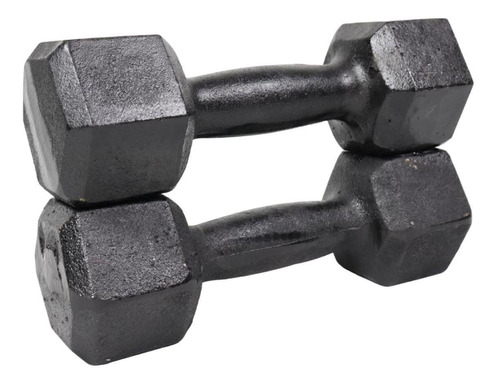 Halter Dumbell Sextavado Pintado 2kg Treino E Musculação