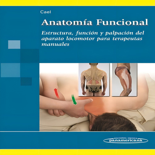 Anatomía Funcional Estructura Función Y Palpación Cael