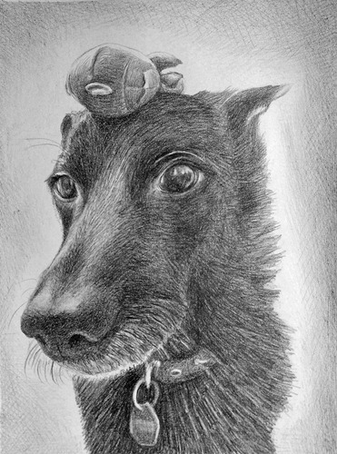 Retrato Hecho A Mano De Tu Mascota A Lapiz O Acrilico