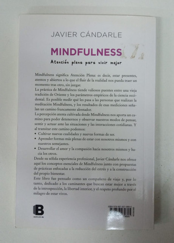 Mindfulness - Javier Candarle - Formato Grande