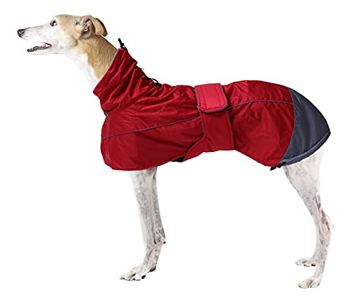 Greyhound Lurcher Abrigo De Invierno, Chaqueta Whippet Con F