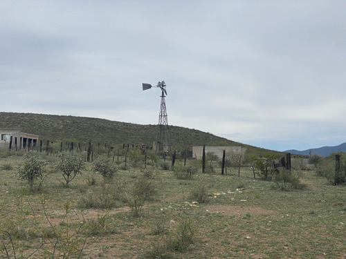 Rancho En Venta En Villa Hidalgo Durango