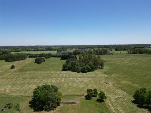 Campo En Pilar