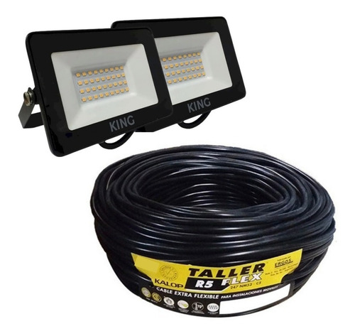 Reflector Proyector Led 30w Pack X2 + 15mts Cable Taller