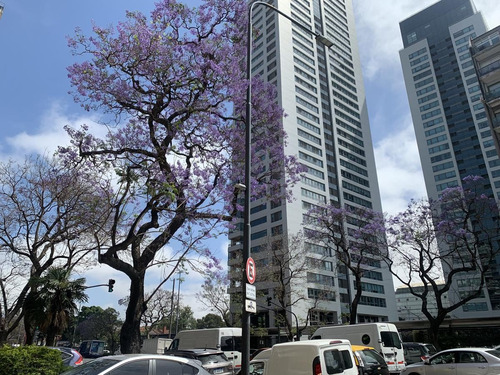 Imagen 2 de 30 de Departamento En Venta En Le Parc