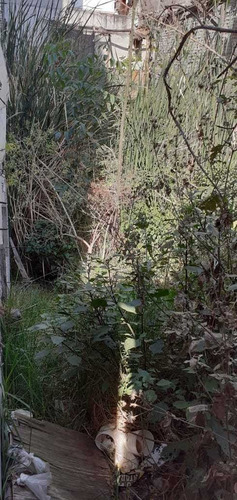 Imagen 4 de 5 de Terreno En Venta En Colonia Doctores