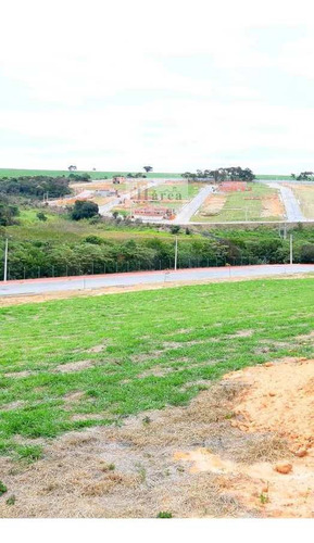 Imagem 11 de 12 de Condomínio: Helena Maria / Wanel Ville - Sorocaba - V18024