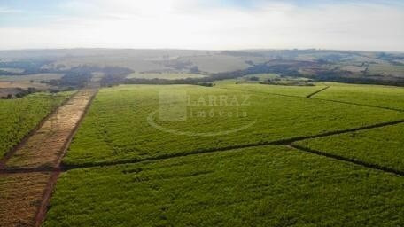 Excelente Fazenda Para Venda Em Itapetininga-sp, Com 244 Alqueires, Formada Em Cana, Frente Para Rodovia Castelo Branco, Rica Em Agua, Rio Nos Fundos - Fa00084 - 69245340