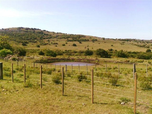 Campo En Maldonado - Los Caracoles- Ref: 31037