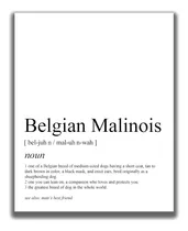 Comprar Regalos De Malinois Belga  Impresión De Arte De Pared ...