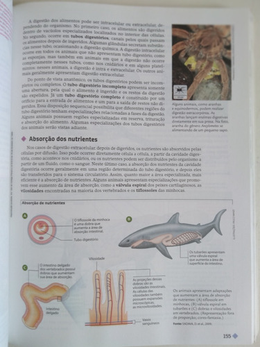 Conexões Com A Biologia - Volume 3 - Livro Do Professor
