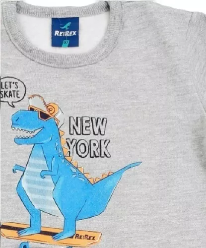 Conjunto Infantil Menino Verão, Dinossauro, 2 peças - Rei Rex