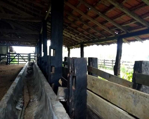 Imagem 15 de 30 de Fazenda - 0132 - 32820420