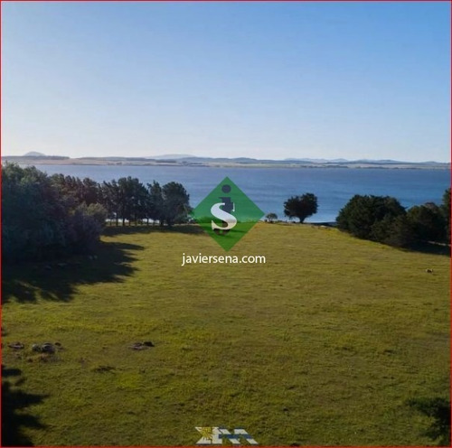 Venta Chacra Laguna Del Sauce, 6 Dormitorios, 3 Baños, Con Costa De Laguna- Ref: 167211