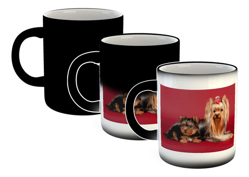 Taza Magica Perros 10 Perros Salchicha Arriba De Mesa