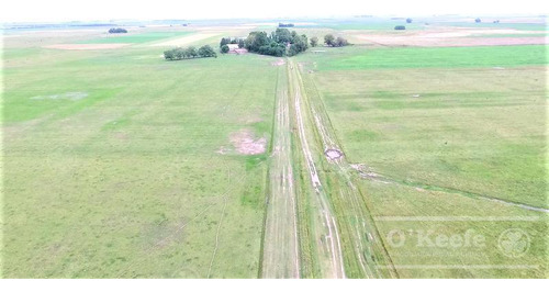Imagen 7 de 17 de Campo En Venta 780 Has Mixto En Chascomus- 90 % Clase Iii.